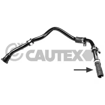 Durite de radiateur CAUTEX 753384