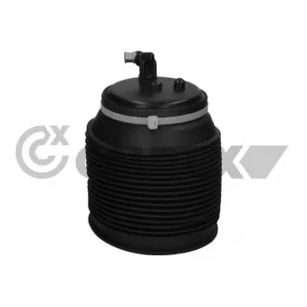 Ressort pneumatique, châssis arrière droit CAUTEX OEM 4808060010 Ressort pneumatique, châssis arrière droit CAUTEX OEM 4808060010