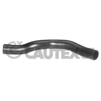 Durite de radiateur CAUTEX OEM 7700832757