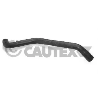 CAUTEX 753482 - Durite de radiateur