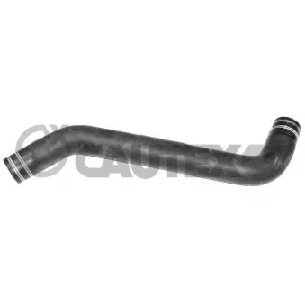 CAUTEX 753604 - Durite de radiateur