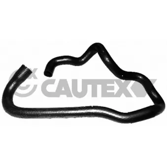 CAUTEX 753632 - Durite de radiateur