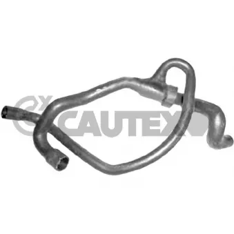 CAUTEX 753639 - Durite de radiateur
