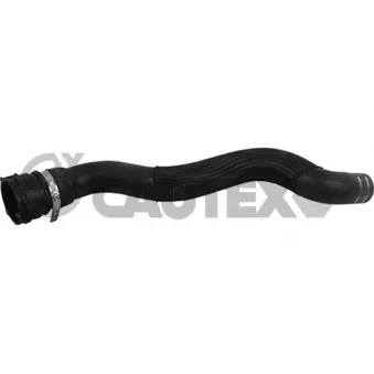Durite de radiateur CAUTEX 753712