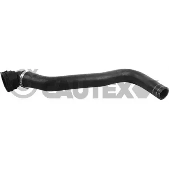 Durite de radiateur CAUTEX 753731