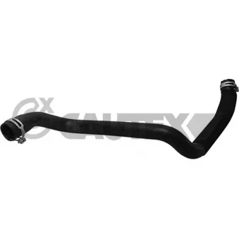 CAUTEX 753812 - Durite de radiateur