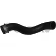 CAUTEX 753904 - Durite de radiateur