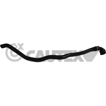 CAUTEX 753940 - Durite de radiateur