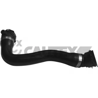 CAUTEX 753942 - Durite de radiateur