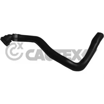 CAUTEX 753947 - Durite de radiateur