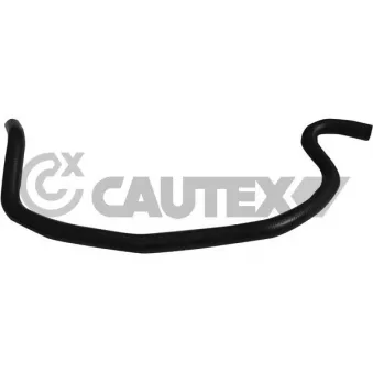 CAUTEX 753953 - Durite de radiateur