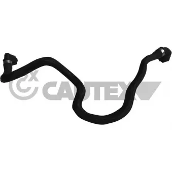 CAUTEX 753973 - Durite de radiateur