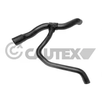 CAUTEX 754130 - Durite de radiateur