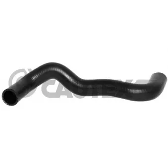 CAUTEX 754169 - Durite de radiateur