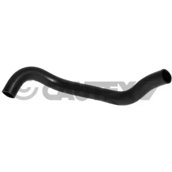 CAUTEX 754211 - Durite de radiateur