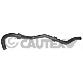 CAUTEX 754325 - Durite de radiateur