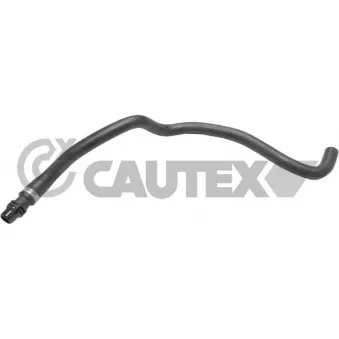 CAUTEX 754384 - Durite de radiateur
