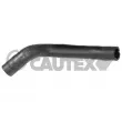 CAUTEX 754410 - Durite de radiateur