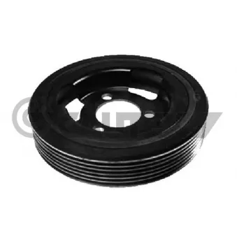 Poulie, vilebrequin CAUTEX OEM 0515T2