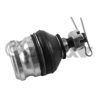 Rotule de suspension CAUTEX OEM 5453002500