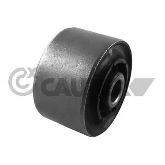 Suspension, corps de l'essieu CAUTEX OEM A4603330314