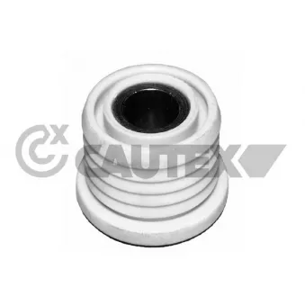 Suspension, corps de l'essieu CAUTEX 755698