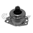 CAUTEX 756099 - Support moteur