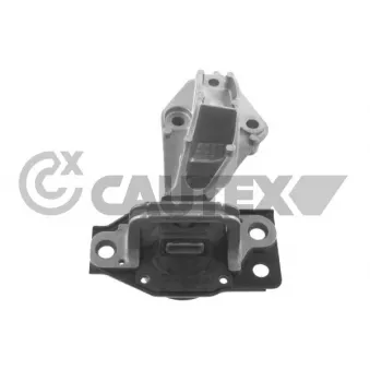 Support moteur CAUTEX OEM 8200902956