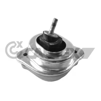 Support moteur CAUTEX 756163 pour BMW X3 3.0 sd - 286cv