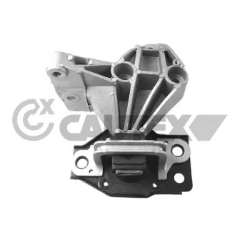Support moteur CAUTEX OEM 11210JD500
