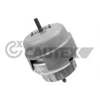Support moteur CAUTEX OEM 4F0199382BJ