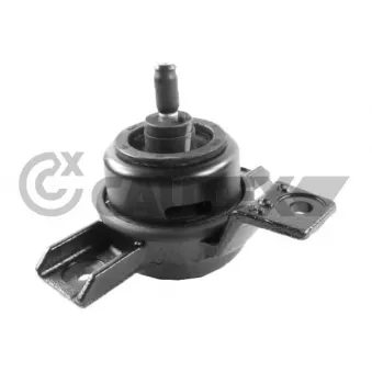 Support moteur CAUTEX OEM 218112B100