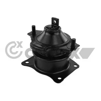 Support moteur CAUTEX OEM 50830SDAE01