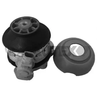 Support moteur CAUTEX 756509