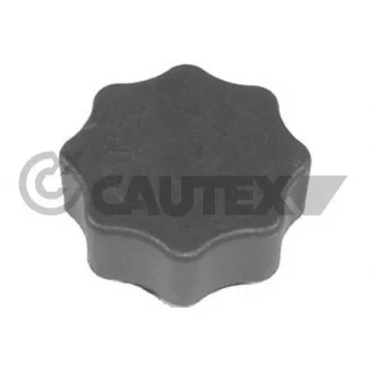 Bouchon, réservoir de liquide de refroidissement CAUTEX OEM 17137791943