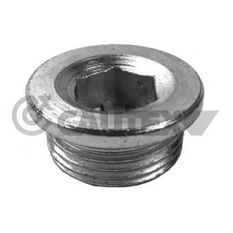 Vis-bouchon, carter d'huile CAUTEX OEM 16993411
