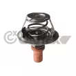 CAUTEX 756889 - Thermostat, liquide de refroidissement