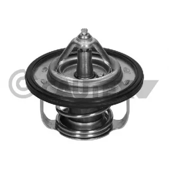 Thermostat, liquide de refroidissement CAUTEX OEM 1767066D00
