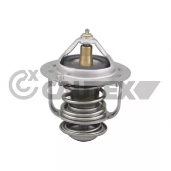 Thermostat, liquide de refroidissement CAUTEX OEM 9004833047