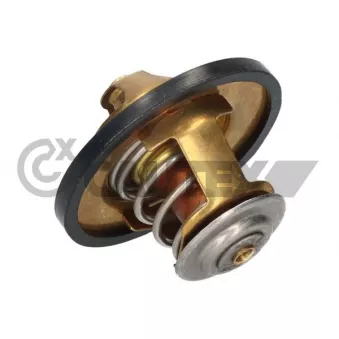 Thermostat, liquide de refroidissement CAUTEX OEM 500329622