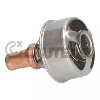 Thermostat, liquide de refroidissement CAUTEX OEM 79NU8575B