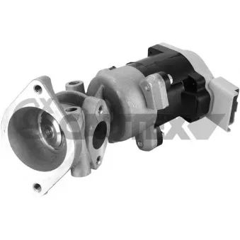 Vanne EGR, commande des gaz d'échappement CAUTEX OEM LR006988