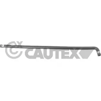 CAUTEX 757842 - Durite de radiateur