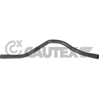 CAUTEX 757967 - Durite de radiateur