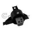 CAUTEX 758224 - Support moteur avant gauche
