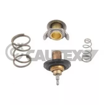 Thermostat, liquide de refroidissement CAUTEX OEM PCP500050