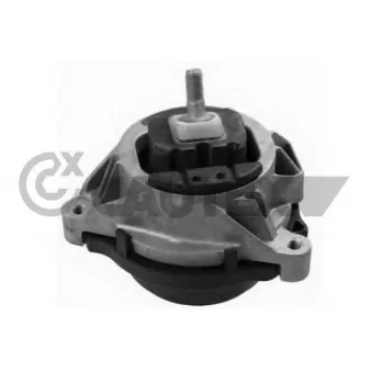 Support moteur CAUTEX OEM 22116854251