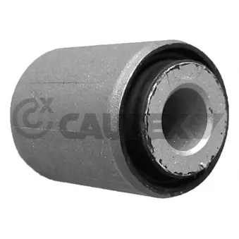 Suspension, corps de l'essieu CAUTEX OEM 1663500053