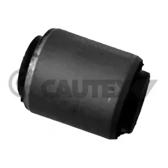 Silent bloc de l'essieu / berceau CAUTEX OEM 5513070T00