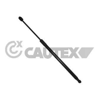 Vérin de hayon, de coffre CAUTEX OEM 8177005520